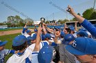 Baseball vs Babson  Wheaton College Baseball players celebrate their victory over Babson to win the NEWMAC Championship for the third year in a row. - (Photo by Keith Nordstrom) : Wheaton, baseball, NEWMAC